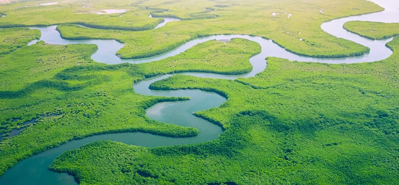 कृषि सिंचाई में क्रांतिकारी बदलाव: पीवीसी पाइप और फिटिंग की भूमिका